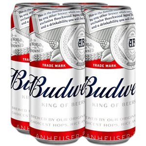front of budweiser 4 pack